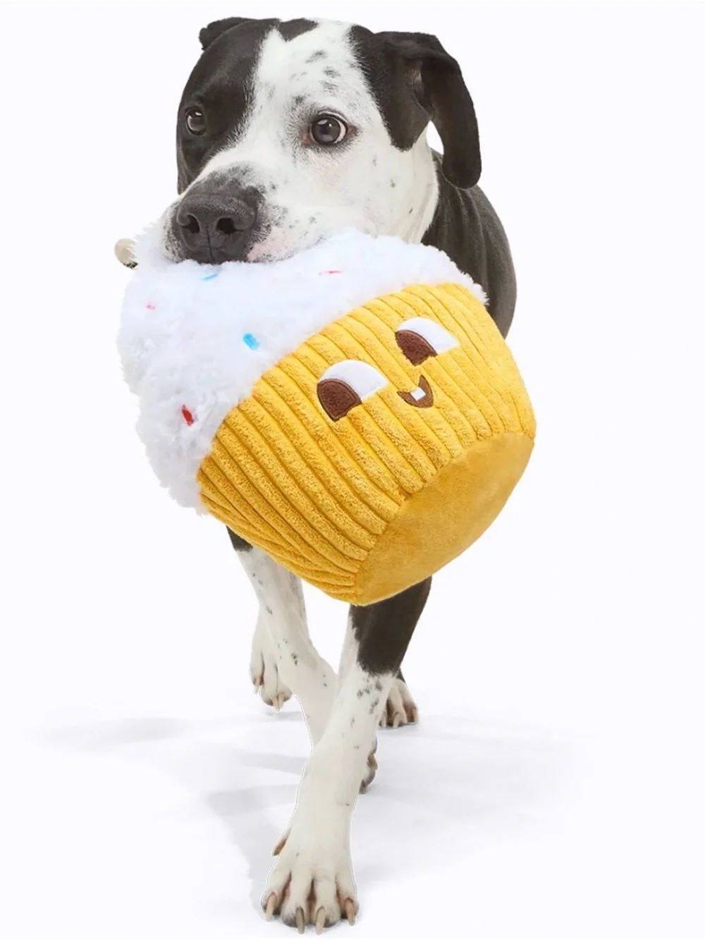 Bark your dog